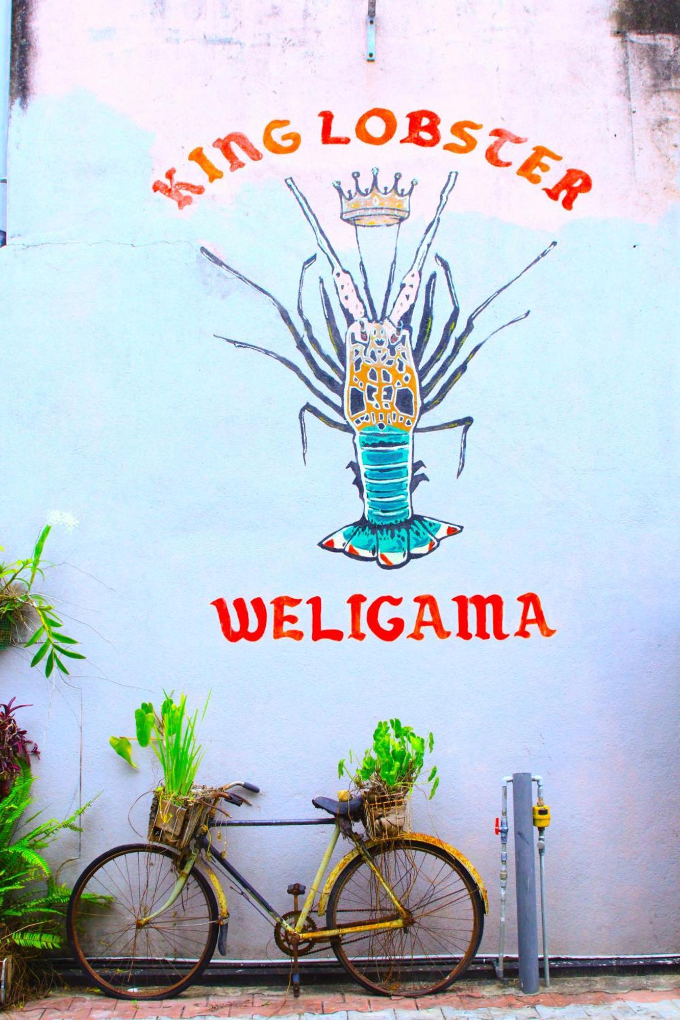 7Elements - Boutique Hotel & Restaurant Weligama Extérieur photo